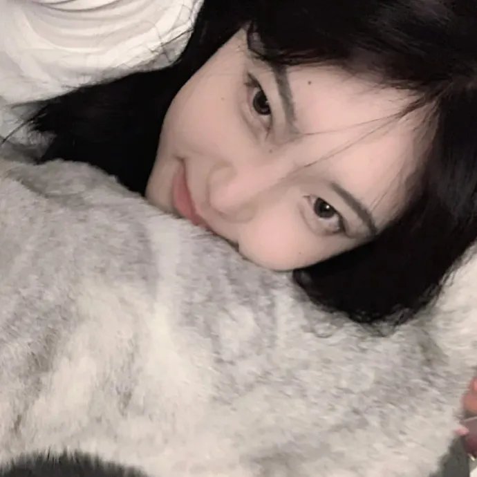 网劫