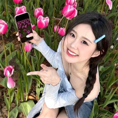 市委书记日记